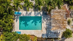 Vista aérea de una piscina rectangular rodeada de palmeras y un muro de piedra.