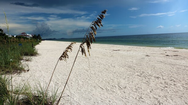 A sandy beach with a clear view of the ocean and a cloudy sky.
