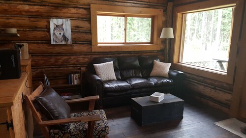 Rustic cabin hidden among the pines.
