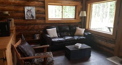 Rustic cabin hidden among the pines.