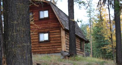 Rustic cabin hidden among the pines.