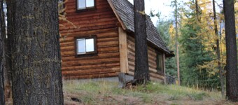 Rustic cabin hidden among the pines.