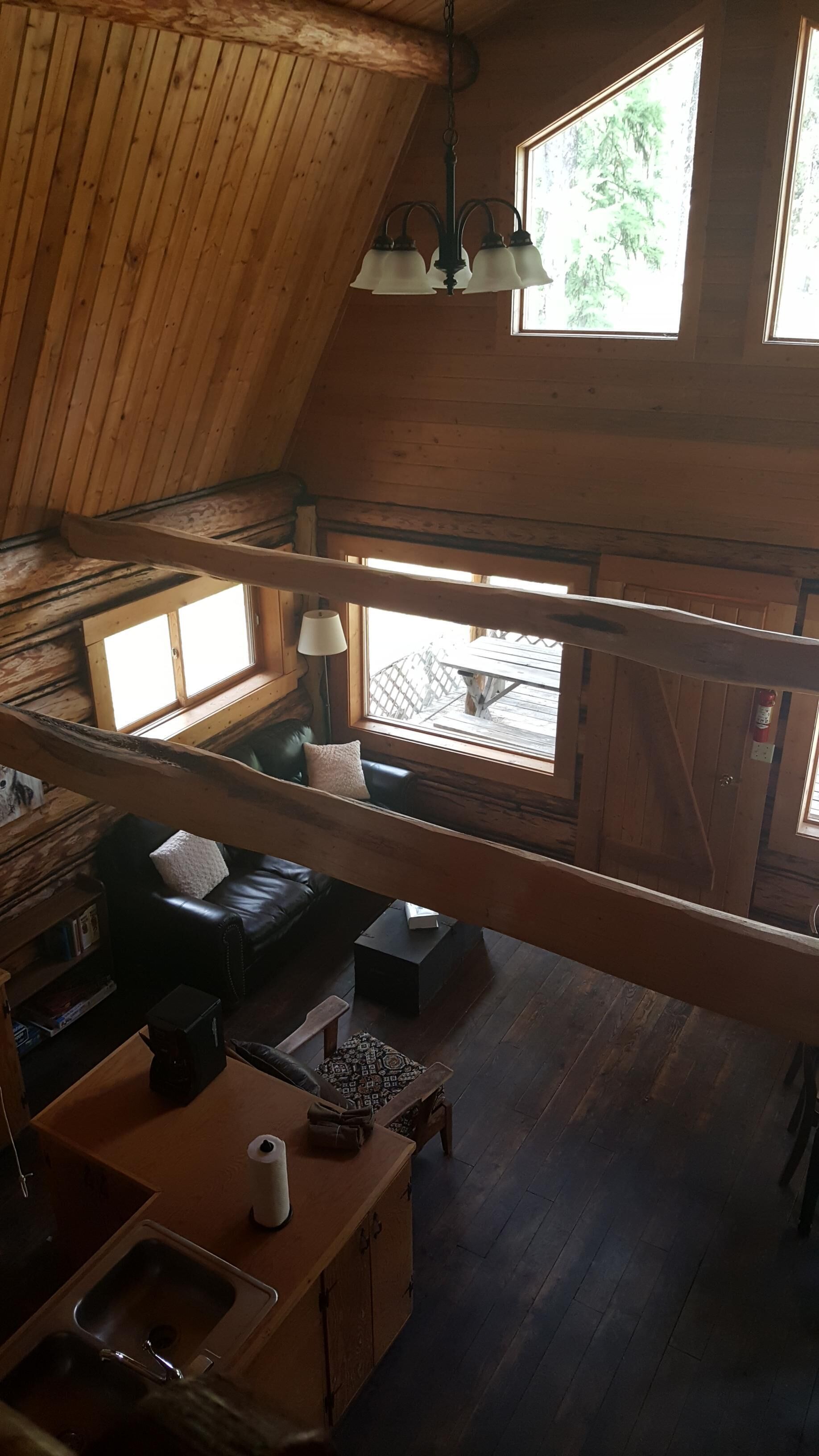 Rustic cabin hidden among the pines.