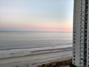 ビーチ、サンラウンジャー