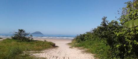 ビーチの近く、サンラウンジャー