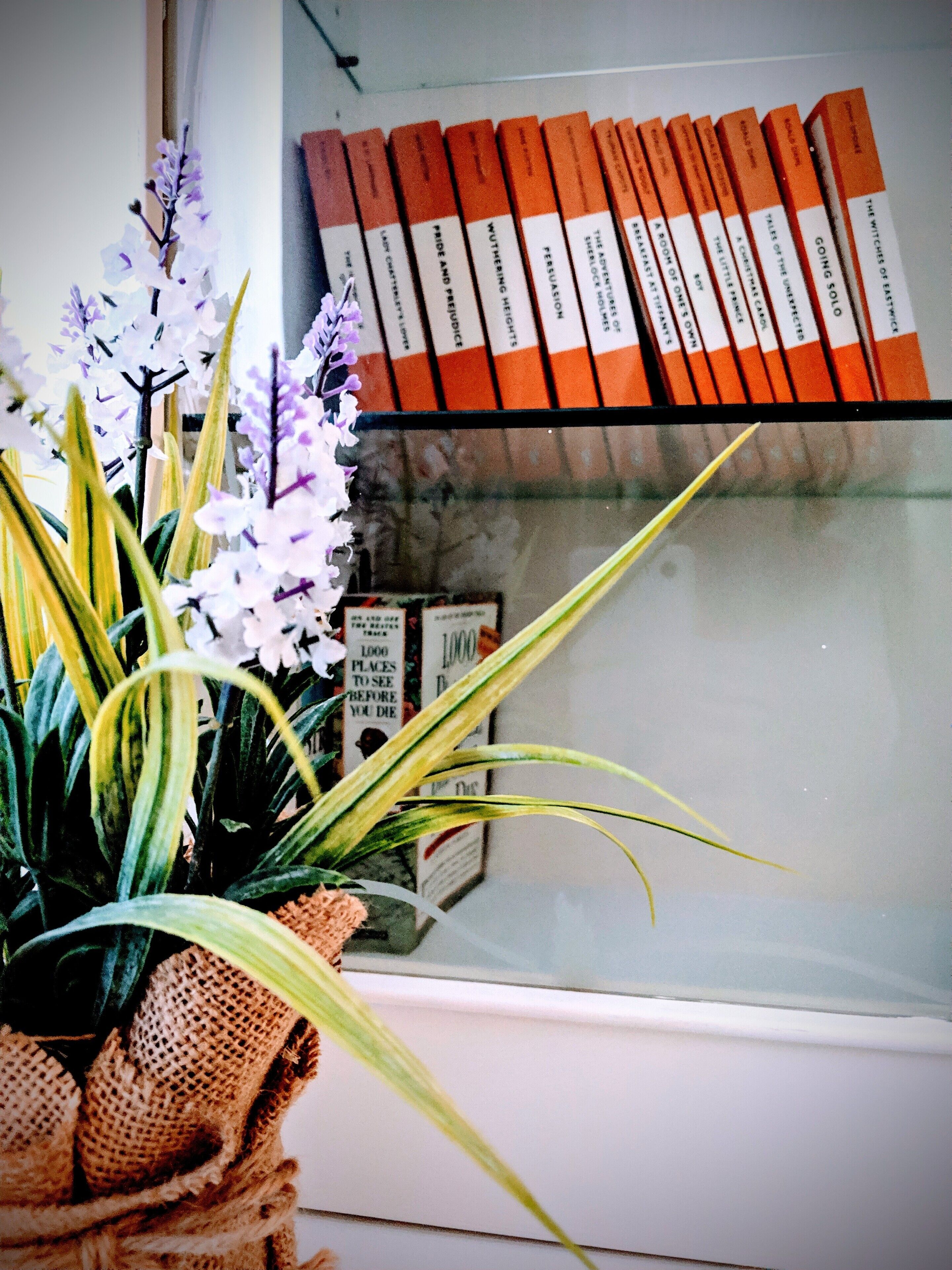 Refurbished miners cottage 5 min from Moonta Bay + free internet — image 30