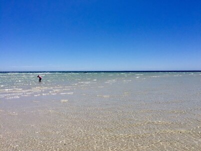 Refurbished miners cottage 5 min from Moonta Bay + free internet