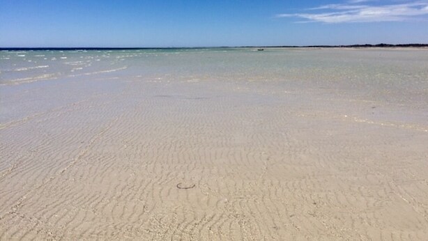 A wide sandy beach with clear blue water and a distant shoreline. - Refurbished miners cottage 5 min from Moonta Bay + free internet (Moonta)
