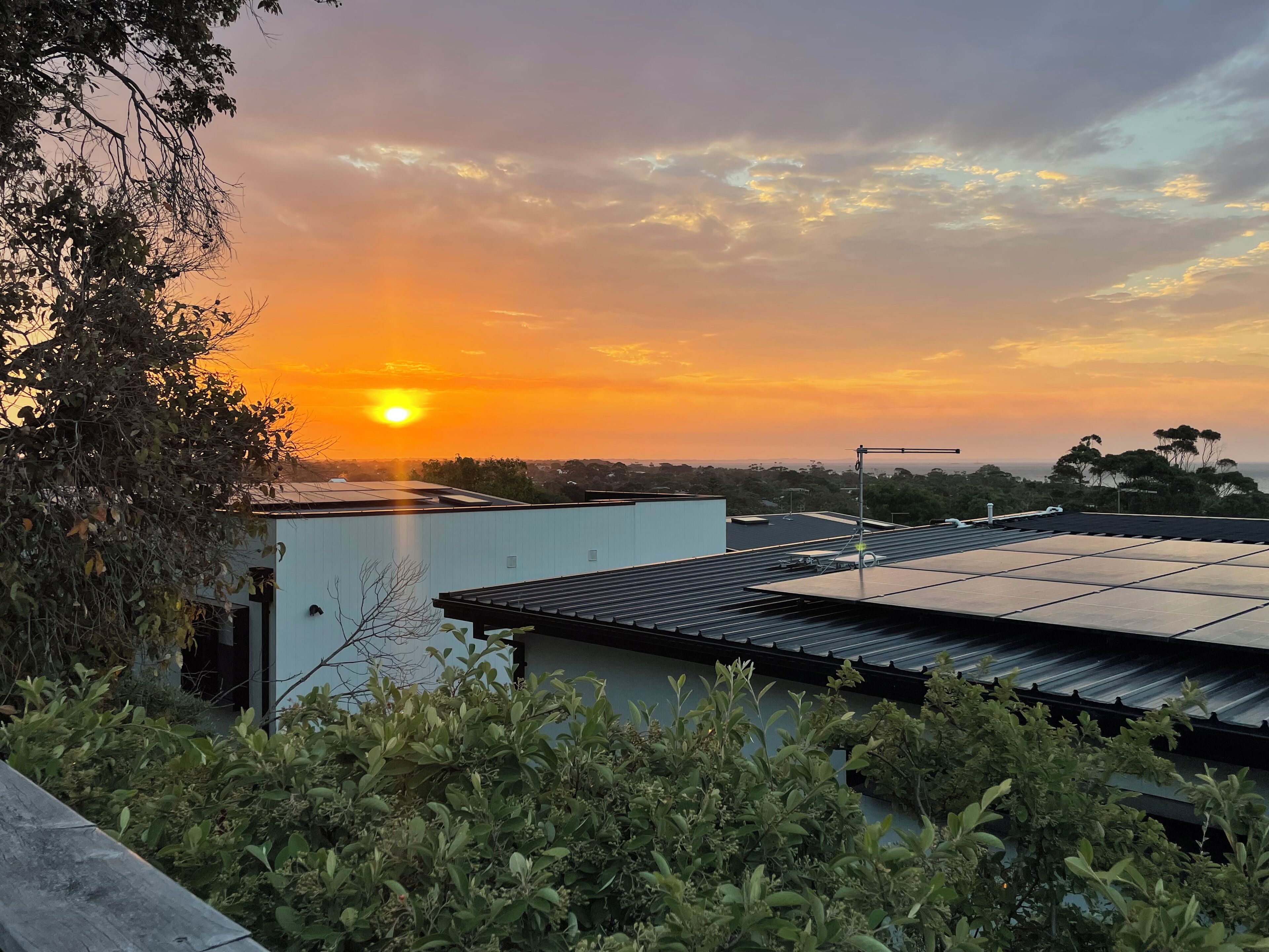 Ein Dach mit Solaranlage, ein Gebäude mit Flachdach und üppiges Grün im Vordergrund.