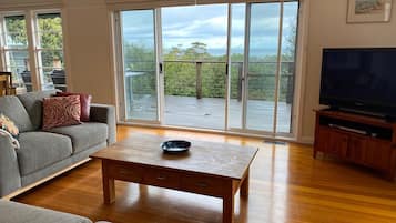 TV, DVD player, ping pong, books