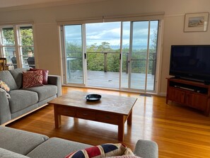 TV, DVD player, ping pong, books