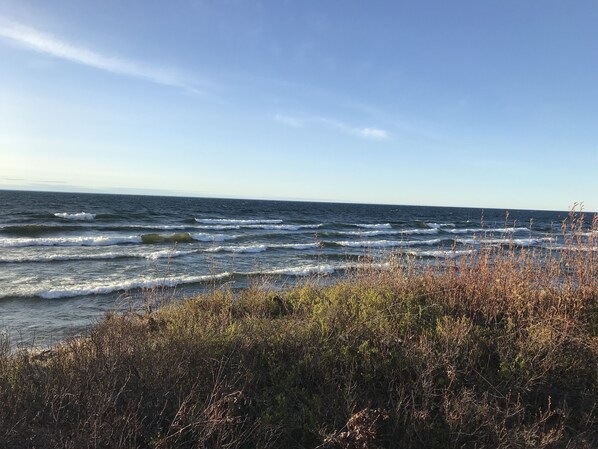 Un paisaje costero con olas y vegetación seca.
