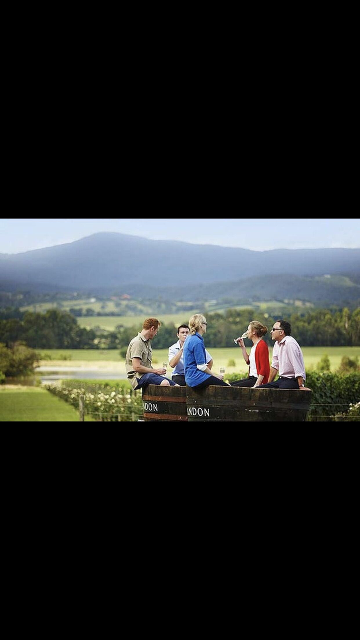 This fabulous old Victorian home is just beautifully renovated — image 8