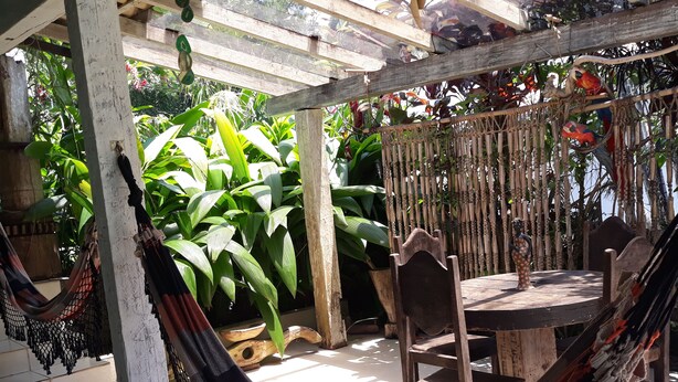 Una hamaca, sillas de madera, una mesa redonda y abundante vegetación en un espacio exterior cubierto.