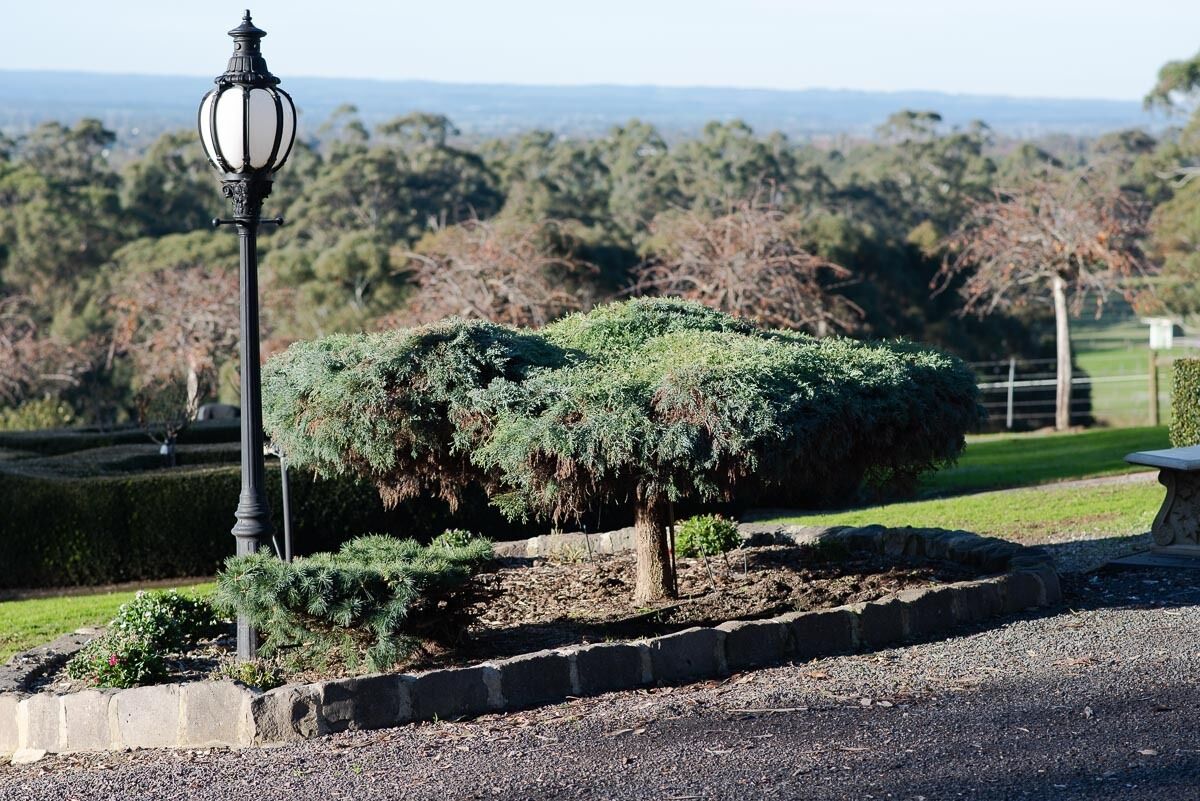 A landscaped garden with a neatly trimmed bush, a lamp post, and a bench.