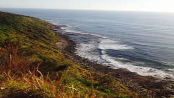 Playa en los alrededores, camastros y toallas de playa