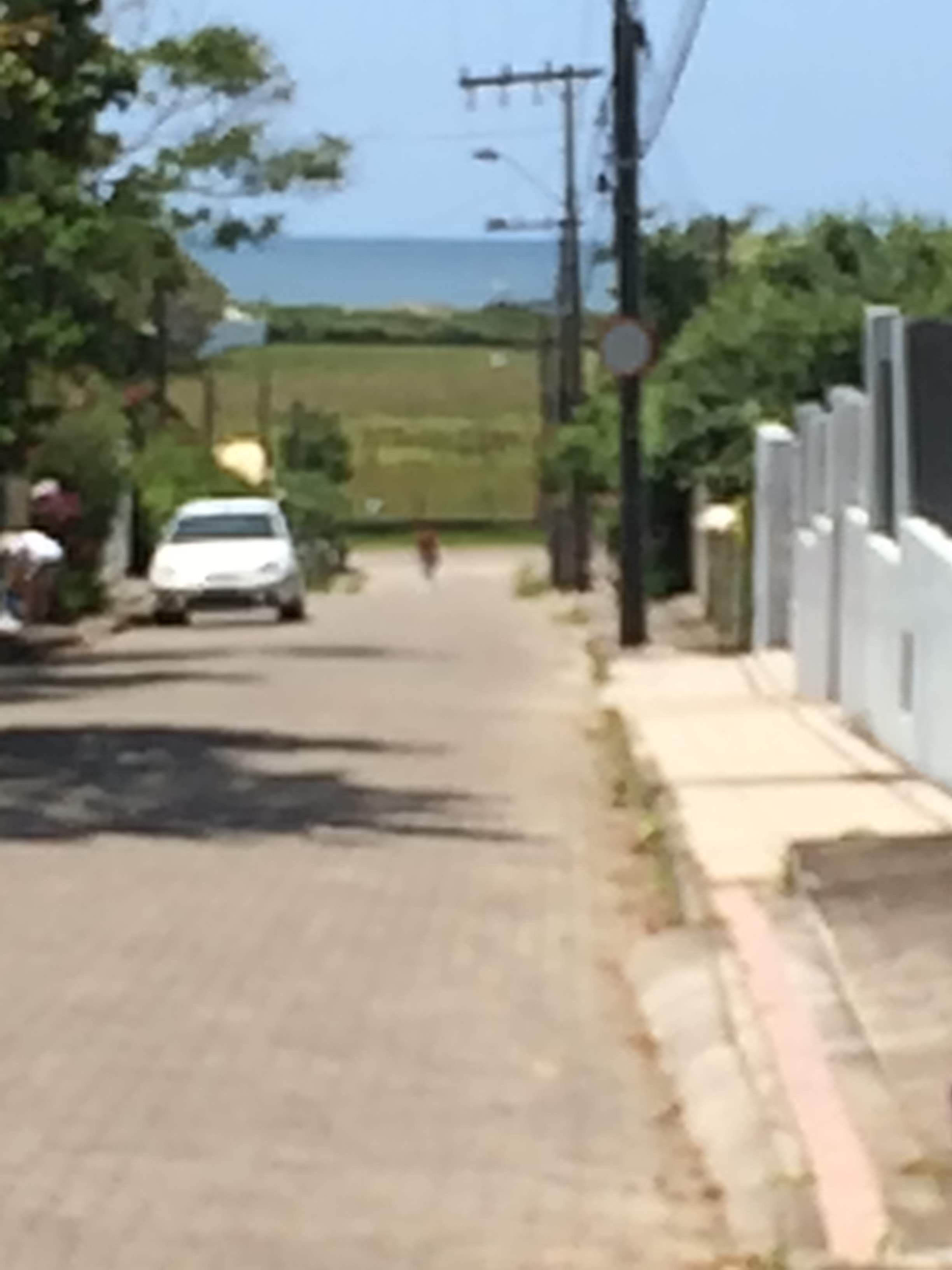 Lisa's studio located on Campeche beach, next to the sea.