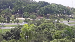 Uma área costeira com vegetação densa, uma estrada com veículos e um corpo d'água ao fundo.