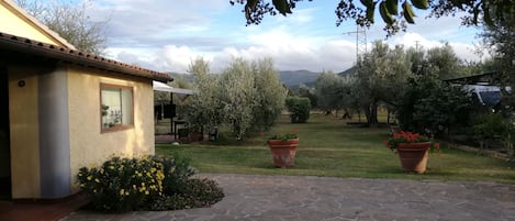A house with a stone patio, a garden with potted plants, and a view of the countryside.
