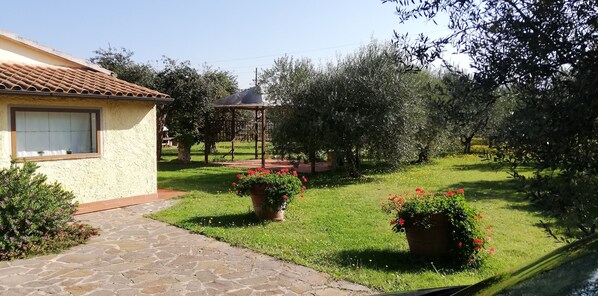 Property grounds - Holiday house in the countryside 3 km from the sea (castagneto carducci)