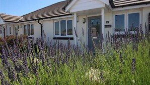 A row of white mobile homes with grey roofs, surrounded by a field of lavender. - Lavender - Two Bedroom Cottage, Sleeps 4 (Wadebridge)