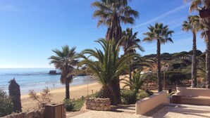 Un chemin pavé mène à une plage bordée de palmiers et délimitée par un mur de pierres.
