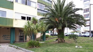Ein Gebäude mit einer Fassade in Grün und Gelb, ein Innenhof mit Rasen und Palmen sowie ein Steinweg, der zum Eingang führt.