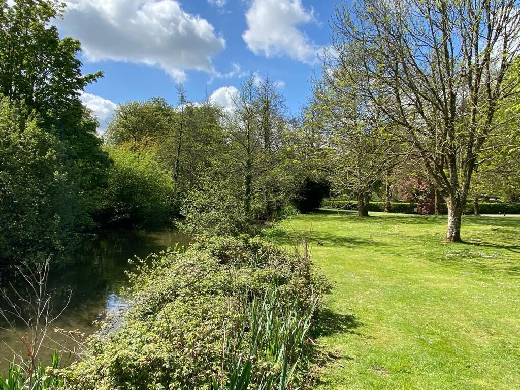 A serene park with a pond, lush greenery, and trees.