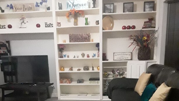 Una sala de estar con un sofá negro, un televisor y una estantería con diversos objetos.