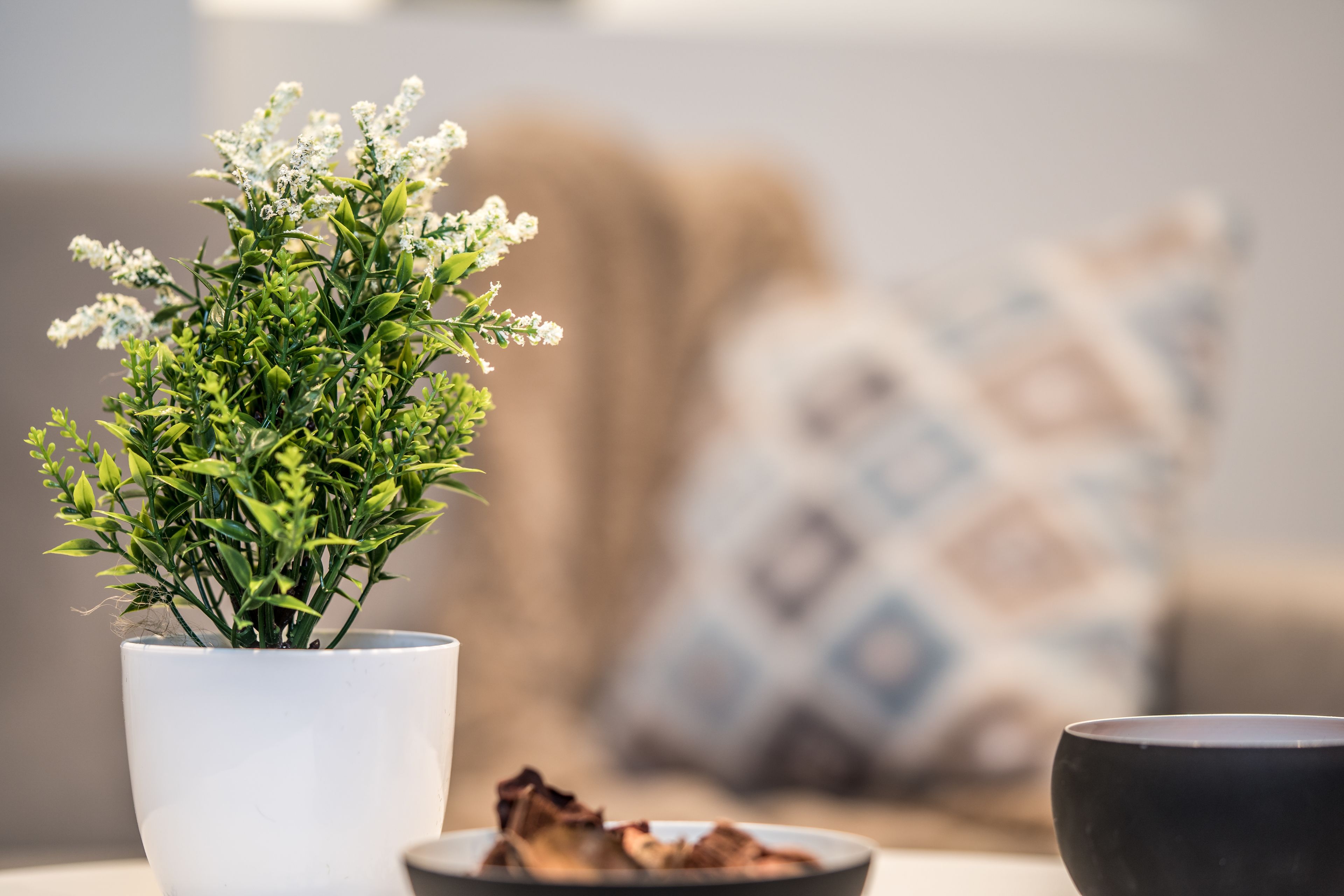 Foto - Urban Nest - Suites & Apartments