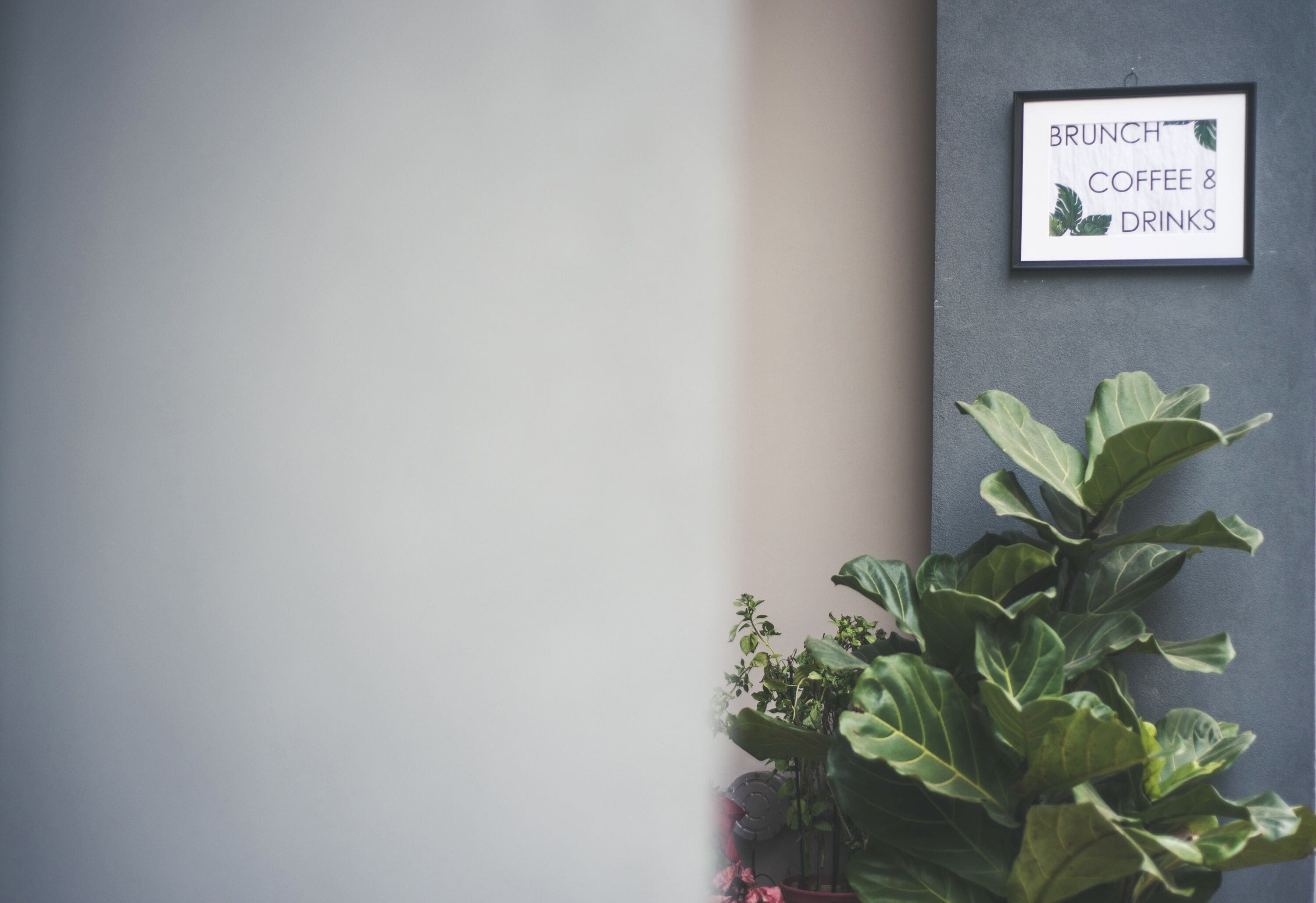 Foto - Urban Nest - Suites & Apartments