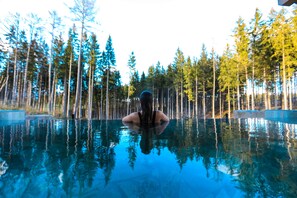 Indoor pool, outdoor pool, open 10:00 AM to 8:00 PM, lifeguards on site