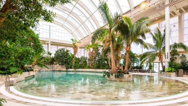 An indoor swimming pool with a curved edge, surrounded by tropical plants and palm trees, under a large glass ceiling. - Center Parcs Bungalowpark Allgäu (Leutkirch im Allgau)
