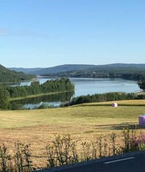 Uklassifisert bilde, 5 av 16, knapp