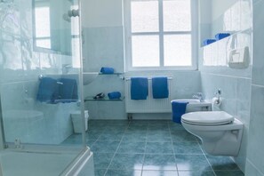 Een badkamer met een douchecabine van glas, een toilet, een wastafel en een raam.