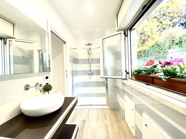 Shower, hair dryer, bidet, towels
