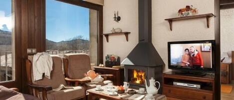 TV, fireplace, DVD player