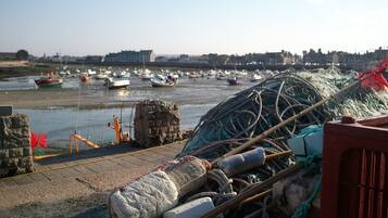 A harbor with boats, fishing gear, and buildings in the background.