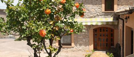 DĂ©tail de lâextĂ©rieur