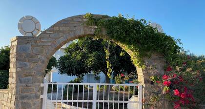 Agrikia Apartments No1 for 2 adults - with garden 300m from the beach - Paros