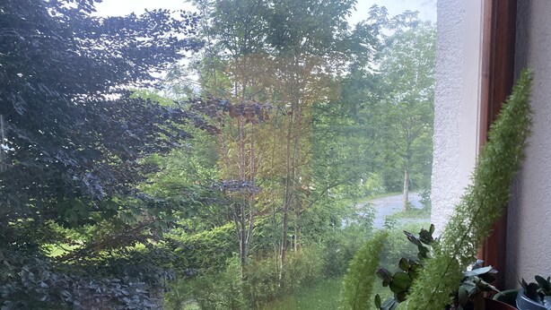 A view from a window with a potted plant and a small garden area visible outside. - Pension Waldblick (Spiegelau)