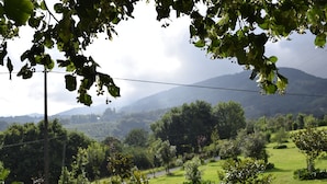 A lush green landscape with a variety of trees and shrubs, a clear sky, and distant mountains. - Apartment for 4 people (Usurbil)