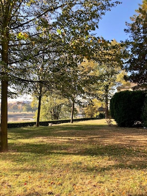 A park with trees, grass, and a body of water in the background. - Vacation apartment in the Villa Graf von Pfeil on the banks of the Elbe (Neustadt)