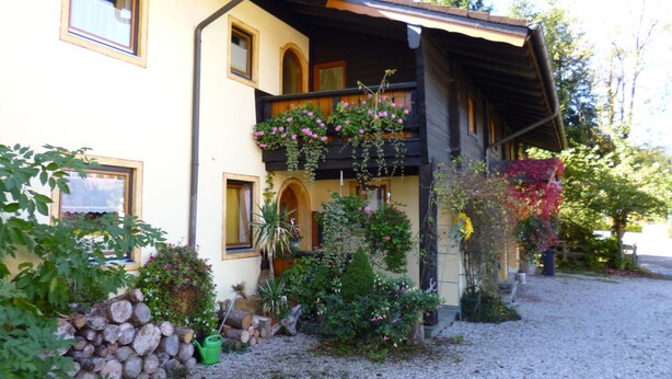 A two-story building with a balcony, surrounded by various plants and a gravel driveway.