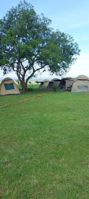 Espacio para trabajar con un portátil, wifi gratis, ropa de cama