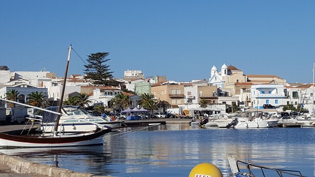 A marina with boats docked, a clear sky, and buildings in the background.