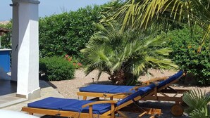 A poolside area with lounge chairs and a palm tree.