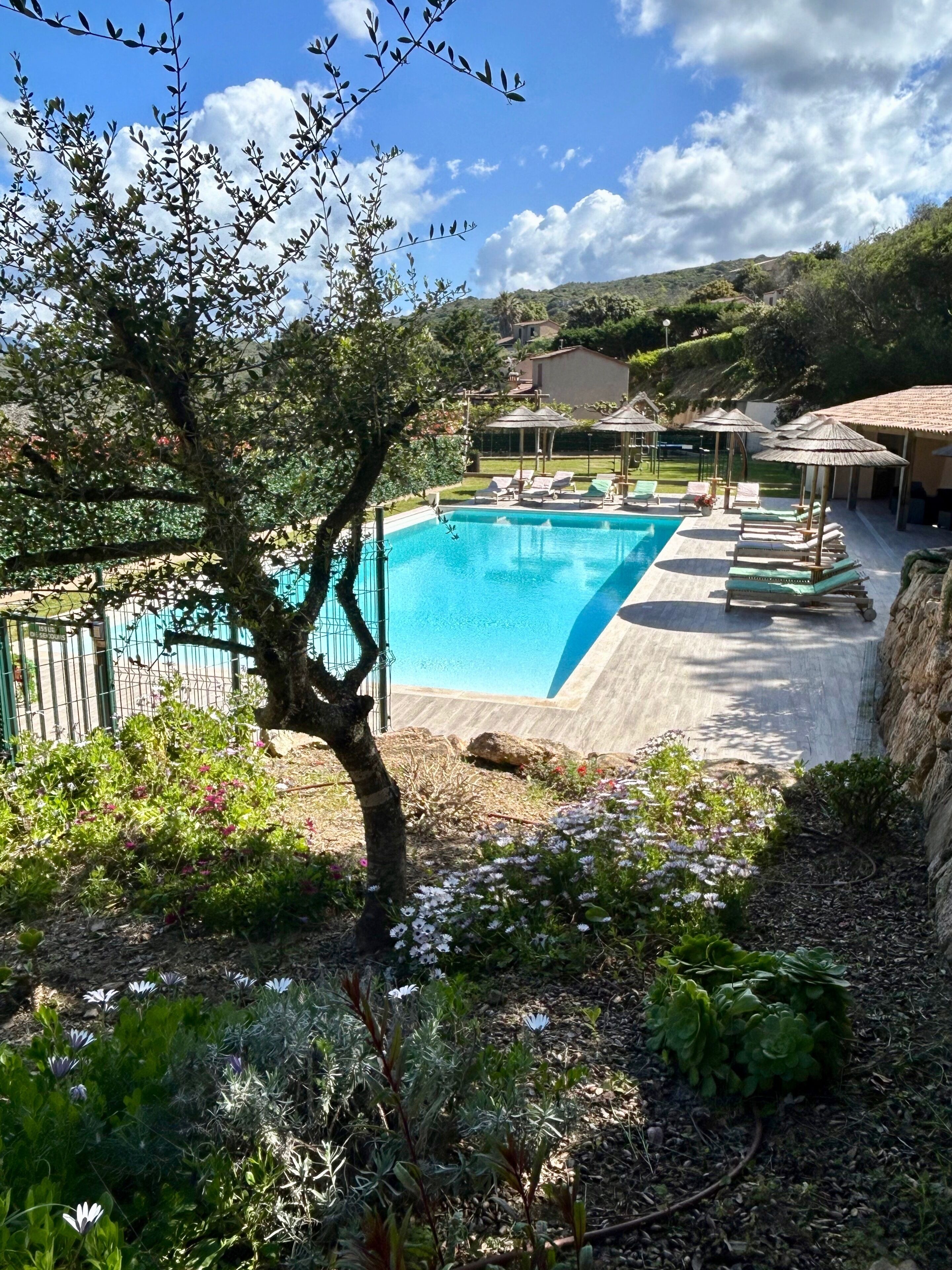 Piscine extérieure