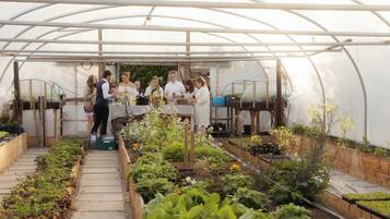 A greenhouse with a clear plastic roof, wooden benches, and various plants growing in raised beds.