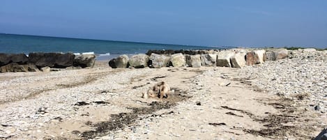 On the beach, sun-loungers